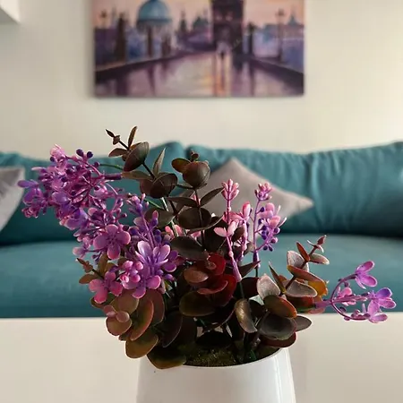 Center Modern Apartament Seres